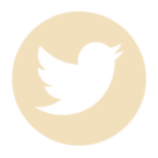 twittericon